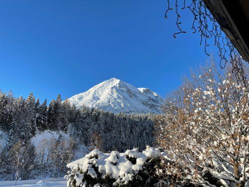 W6 Haus Ganghofer in คลัมม์ W6 Haus Ganghofer in คลัมม์