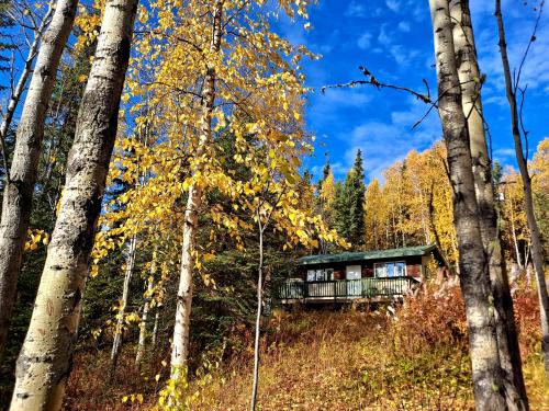 Exterior view, Northwoods Cottage Bed and Breakfast in College (AK) Exterior view, Northwoods Cottage Bed and Breakfast in College (AK)