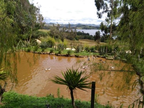 A környék, Coimbra in Pantano Redondo A környék, Coimbra in Pantano Redondo