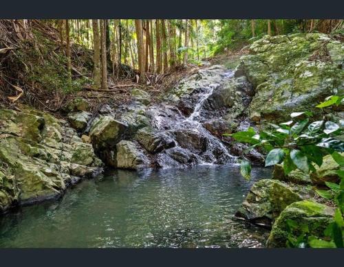 Sports and activities, Pidgeonberry Retreat - Peaceful Escape 21 Acres with Cascading Creek in Crystal Creek Sports and activities, Pidgeonberry Retreat - Peaceful Escape 21 Acres with Cascading Creek in Crystal Creek