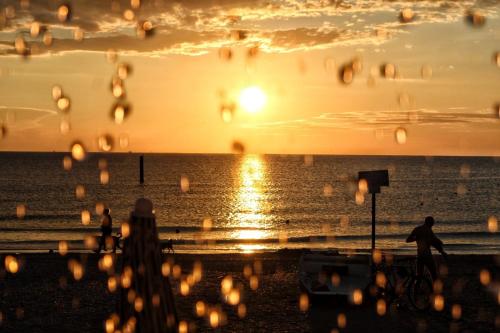 Ittiturismo Il Vecchio e il Mare in Grottammare Ittiturismo Il Vecchio e il Mare in Grottammare