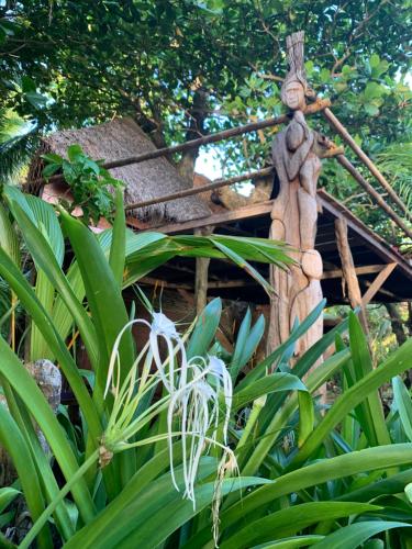 Taman, ENSUEÑOS NATURAL RESERVE Little Corn Island Nicaragua (ENSUENOS NATURAL RESERVE Little Corn Island Nicaragua) in Little Corn Island Taman, ENSUEÑOS NATURAL RESERVE Little Corn Island Nicaragua (ENSUENOS NATURAL RESERVE Little Corn Island Nicaragua) in Little Corn Island