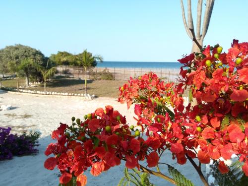 Градина, Villa Nature in Toliara Градина, Villa Nature in Toliara