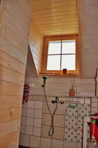 Baño, Vineyard Cottage Vercek in Novo Mesto Baño, Vineyard Cottage Vercek in Novo Mesto