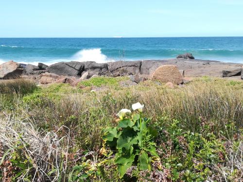 Alrededores, Rockview Guest House in Port Edward Alrededores, Rockview Guest House in Port Edward