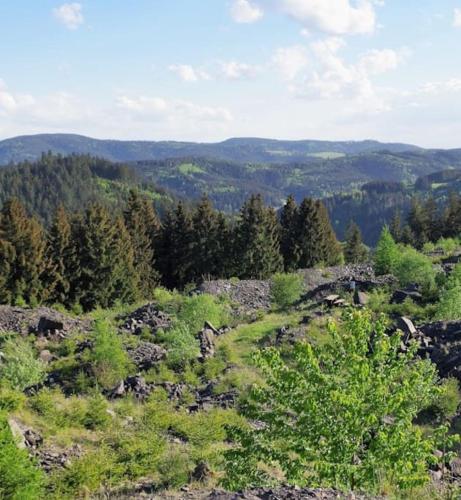 Ferienwohnung auf dem Dach des Frankenwaldes in Schwarzenbach am Wald Ferienwohnung auf dem Dach des Frankenwaldes in Schwarzenbach am Wald