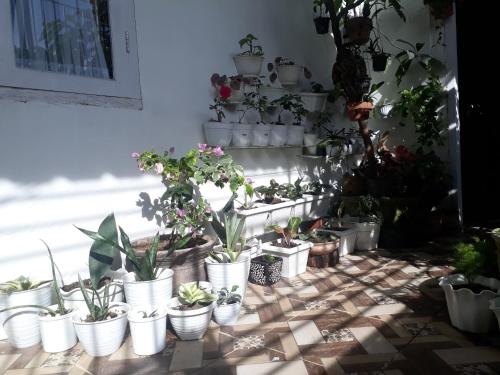 Bumimi Homestay in Painan Bumimi Homestay in Painan