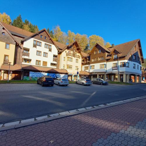 A szálláshely kívülről, Apartmán Sven (Apartman Sven) in Rokytnice nad Jizerou A szálláshely kívülről, Apartmán Sven (Apartman Sven) in Rokytnice nad Jizerou
