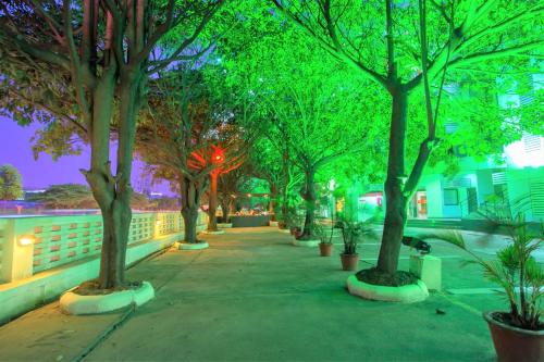 Garden, Ginger Bangalore, Whitefield in Whitefield Garden, Ginger Bangalore, Whitefield in Whitefield