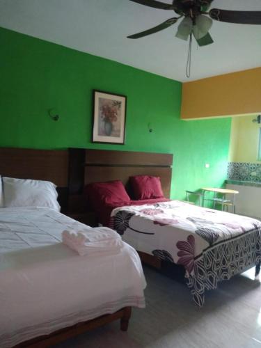 Casa Fernery in Sta Ana Casa Fernery in Sta Ana