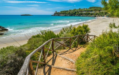 沙灘, Ecolodge Selvitelle - Sustainable Retreat Amidst Olive Groves in Cilento in 奇切拉萊 沙灘, Ecolodge Selvitelle - Sustainable Retreat Amidst Olive Groves in Cilento in 奇切拉萊
