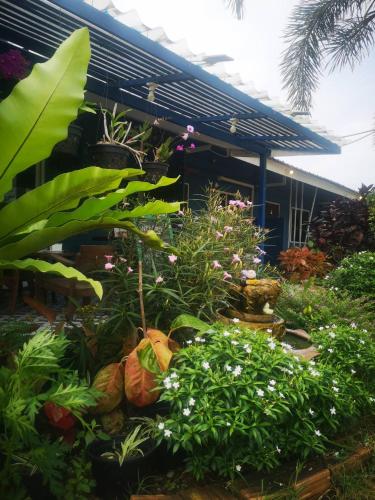 บ้านในสวนรีสอร์ทBannnaisuan Resort in كوي بوري บ้านในสวนรีสอร์ทBannnaisuan Resort in كوي بوري