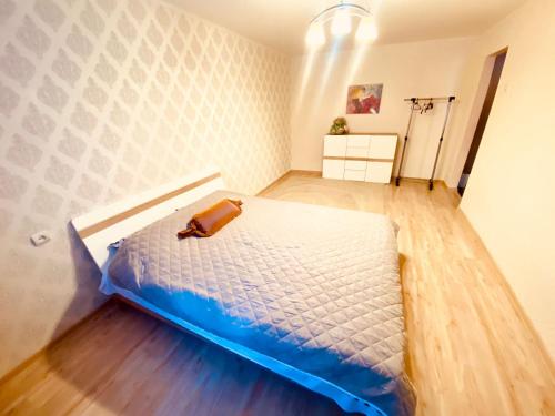 Guestroom, Апартаменты на Невского in Leningradsky Guestroom, Апартаменты на Невского in Leningradsky