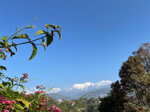 Rupa View Guest house in Lakhnath Rupa View Guest house in Lakhnath
