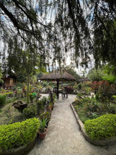 View, Bardia Wildlife Resort in Thakudwara View, Bardia Wildlife Resort in Thakudwara