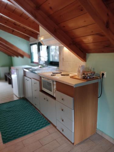 편의 시설/서비스, Kristi's Homes - "Beautiful Attic" in Dimitsana in 디미트사나 편의 시설/서비스, Kristi's Homes - "Beautiful Attic" in Dimitsana in 디미트사나