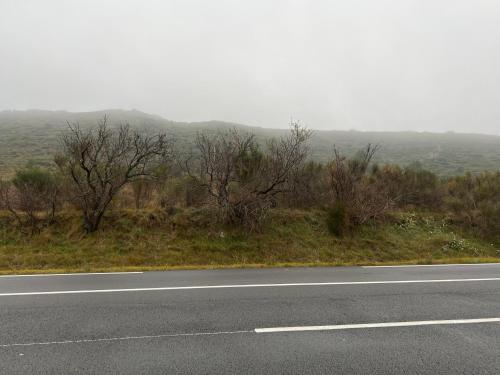 maison des corbieres in كونياك كوربيير maison des corbieres in كونياك كوربيير