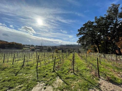 Casa de Pelicas - Celorico de Basto in เซโลริโก เด บาสโต Casa de Pelicas - Celorico de Basto in เซโลริโก เด บาสโต