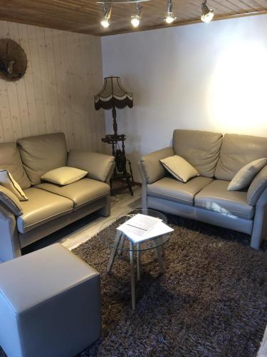 Distel in Grafschaft Distel in Grafschaft