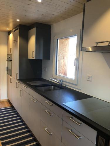 Distel in Grafschaft Distel in Grafschaft