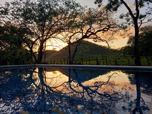 The 12 Best Hotels in Nosara, Costa Rica: For All Budgets