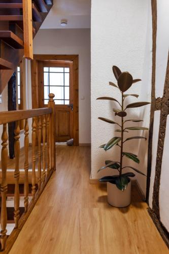 Fürdőszoba, Fachwerkhäuschen (Fachwerkhauschen) in Enkirch Fürdőszoba, Fachwerkhäuschen (Fachwerkhauschen) in Enkirch