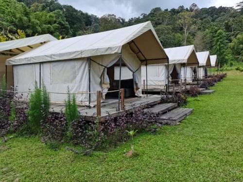 Canopy Villa Tampik Valley in Janda Baik Canopy Villa Tampik Valley in Janda Baik