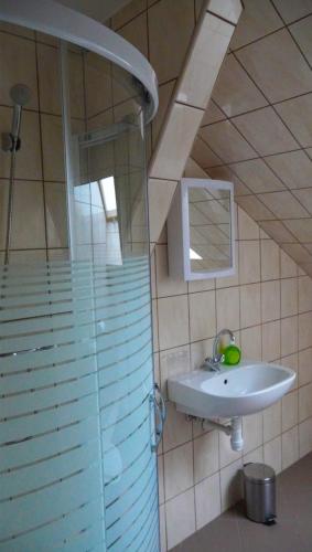 Bathroom, Pajkos Poni Vendeghaz in Miskolc Bathroom, Pajkos Poni Vendeghaz in Miskolc