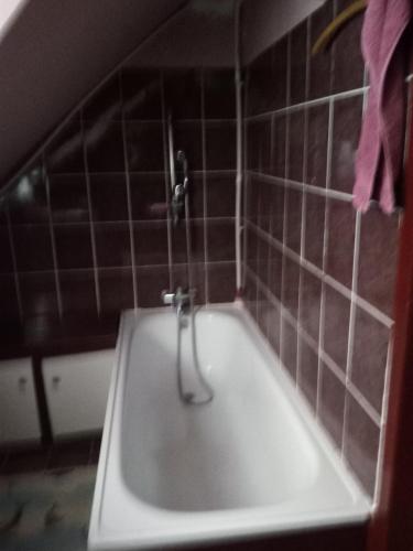 Fürdőszoba, VILLA MI - JA Brestovacka Banja in Brestovac Fürdőszoba, VILLA MI - JA Brestovacka Banja in Brestovac