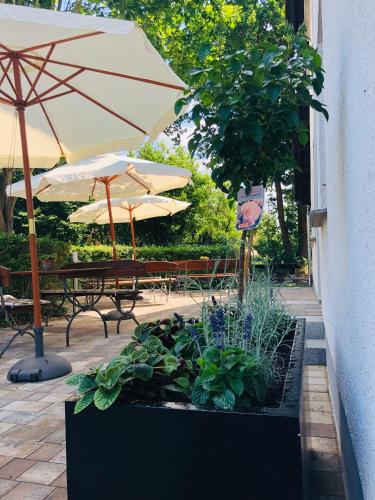 Balkon/Terrasse, Pension & Restaurant Nordstern in Cottbus Balkon/Terrasse, Pension & Restaurant Nordstern in Cottbus