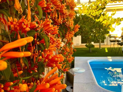Vista, Suite Apto de invitados Montes de Malaga- Climatized Pool&Garden in Ciudad Jardin Vista, Suite Apto de invitados Montes de Malaga- Climatized Pool&Garden in Ciudad Jardin