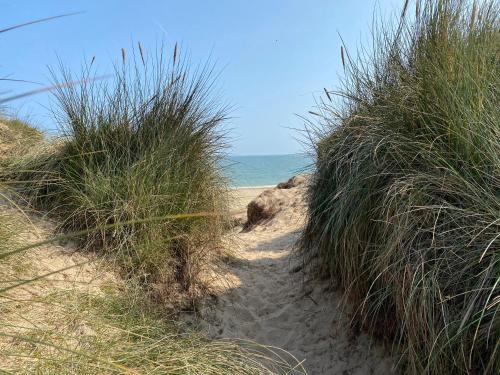 Driftwood WINTERTON VALLEY ESTATE Dog Friendly