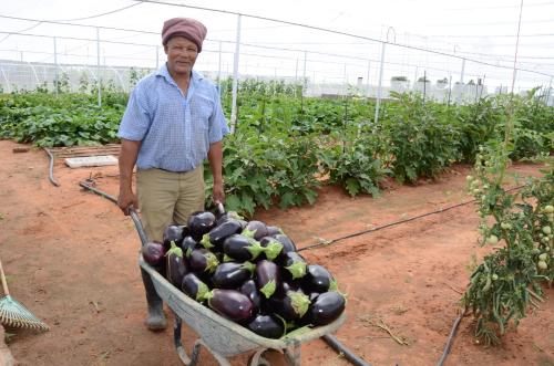 กิจกรรม, Kalahari Farmhouse Campsite in สแตมป์เรียต กิจกรรม, Kalahari Farmhouse Campsite in สแตมป์เรียต