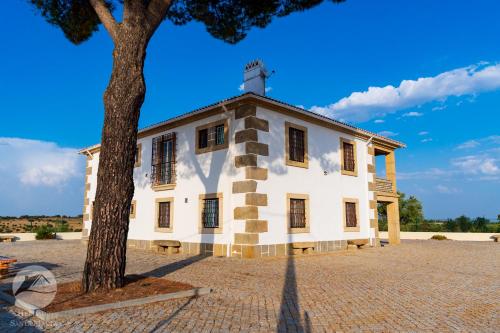 Vista exterior, Alojamento Local Santa Marta in Monsanto Vista exterior, Alojamento Local Santa Marta in Monsanto