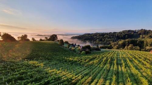 A környék, Weingut & Ferienwohnungen Lenhard in Lebring A környék, Weingut & Ferienwohnungen Lenhard in Lebring