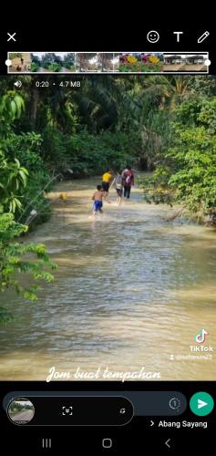Tree Top Glamping Dusun Anum in Karangan Tree Top Glamping Dusun Anum in Karangan