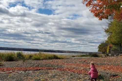 plaža, Le temps d'une ile (Maison) - Vue sur le fleuve in Ile D'orleans (QC) plaža, Le temps d'une ile (Maison) - Vue sur le fleuve in Ile D'orleans (QC)