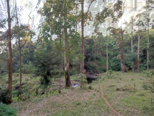 Mai Kilimanjaro Home Stay in Marangu Mai Kilimanjaro Home Stay in Marangu