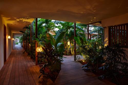 花园, Tropical Hotel St Barth in 古斯塔维亚 花园, Tropical Hotel St Barth in 古斯塔维亚