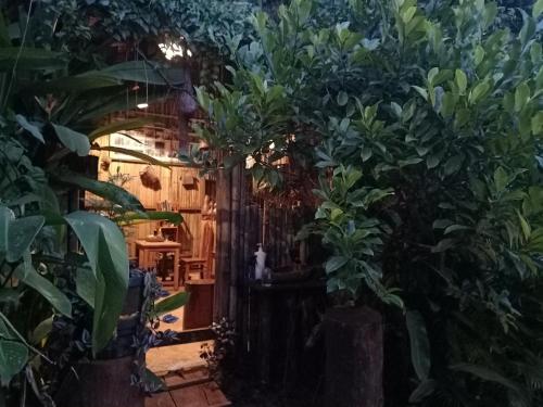Tribal Village Homestay & Trekking in Banlung Tribal Village Homestay & Trekking in Banlung