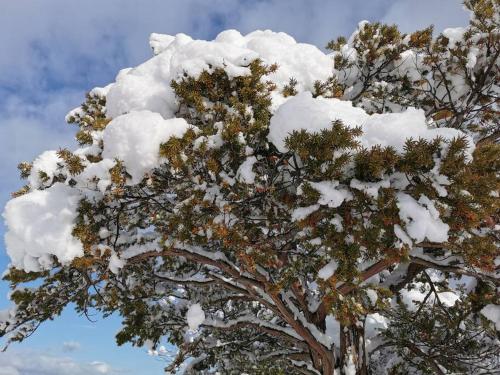 House Of Joy Furano 15 mins to ski resort in Yamabe House Of Joy Furano 15 mins to ski resort in Yamabe