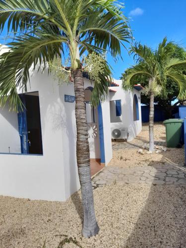 Фасада на хотела, Caribbean Chillout Apartments in Тере Кора Фасада на хотела, Caribbean Chillout Apartments in Тере Кора