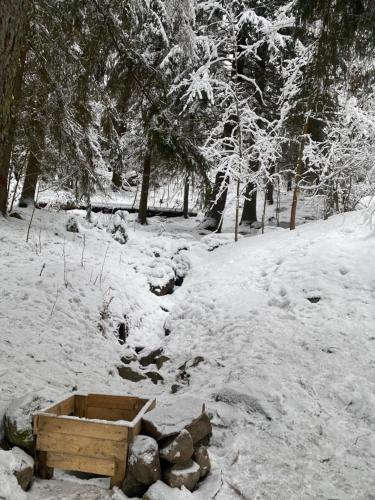 Гостевои дом-баня в Карелии in Sortavala Гостевои дом-баня в Карелии in Sortavala