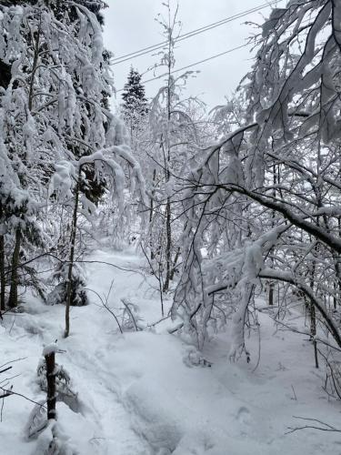 Гостевои дом-баня в Карелии in Sortavala Гостевои дом-баня в Карелии in Sortavala