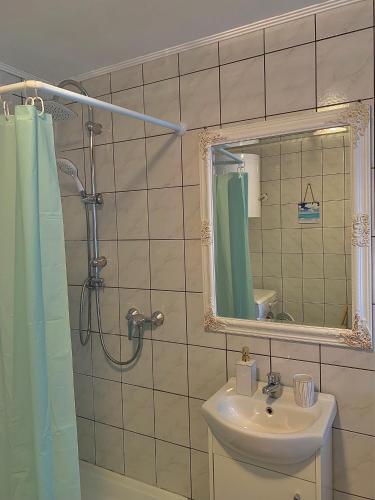 Bathroom, Tiszai Fenyves Apartman in Tiszadorogma Bathroom, Tiszai Fenyves Apartman in Tiszadorogma