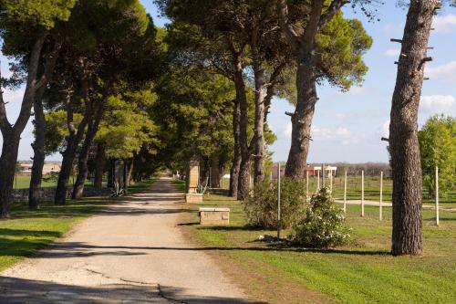 Garden, Masseria Zanzara in Lecce Garden, Masseria Zanzara in Lecce