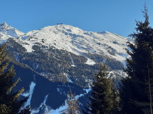 Навколишнє середовище, Appartement Chesa Monte in Ішгль Навколишнє середовище, Appartement Chesa Monte in Ішгль