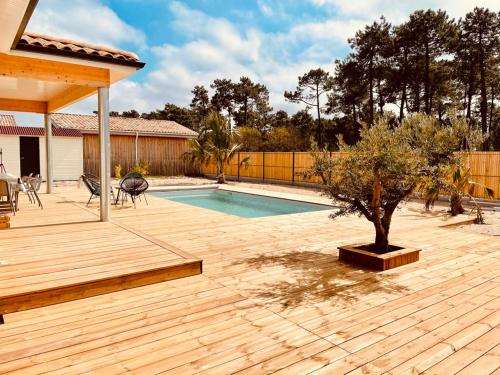 Swimming pool, VillasHomeClet - Villa Palm Beach in Vensac Swimming pool, VillasHomeClet - Villa Palm Beach in Vensac