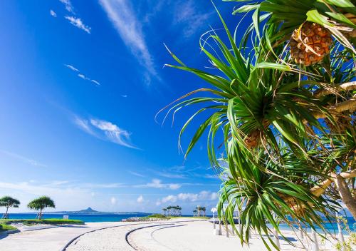 Beach, Royal View Hotel Churaumi in Motobu Beach, Royal View Hotel Churaumi in Motobu