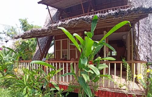 Mekong Delta Ricefield Lodge in Cần Thơ Mekong Delta Ricefield Lodge in Cần Thơ